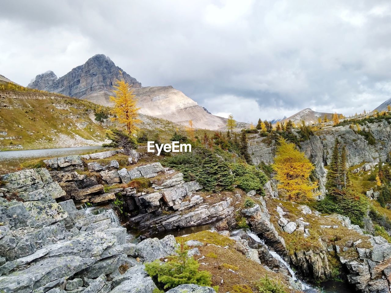 Autumn colors in the backcountry, waterfall, redoubt lake falls, skoki lodge  trails