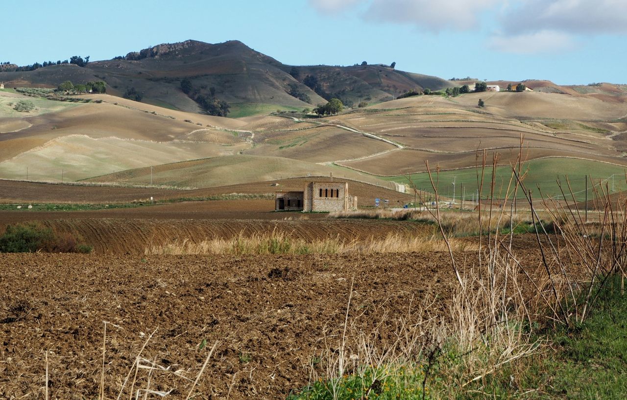 Scenic view of field and mountains against sky