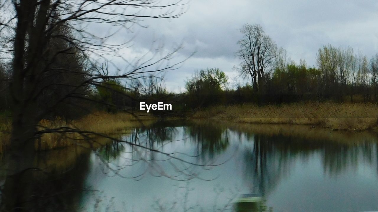 SCENIC VIEW OF LAKE BY TREES IN FOREST