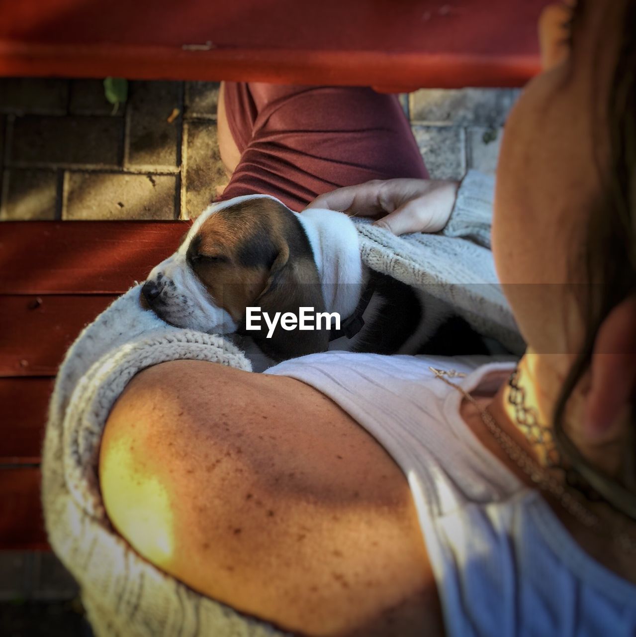 CLOSE-UP OF DOG STICKING OUT TONGUE OF