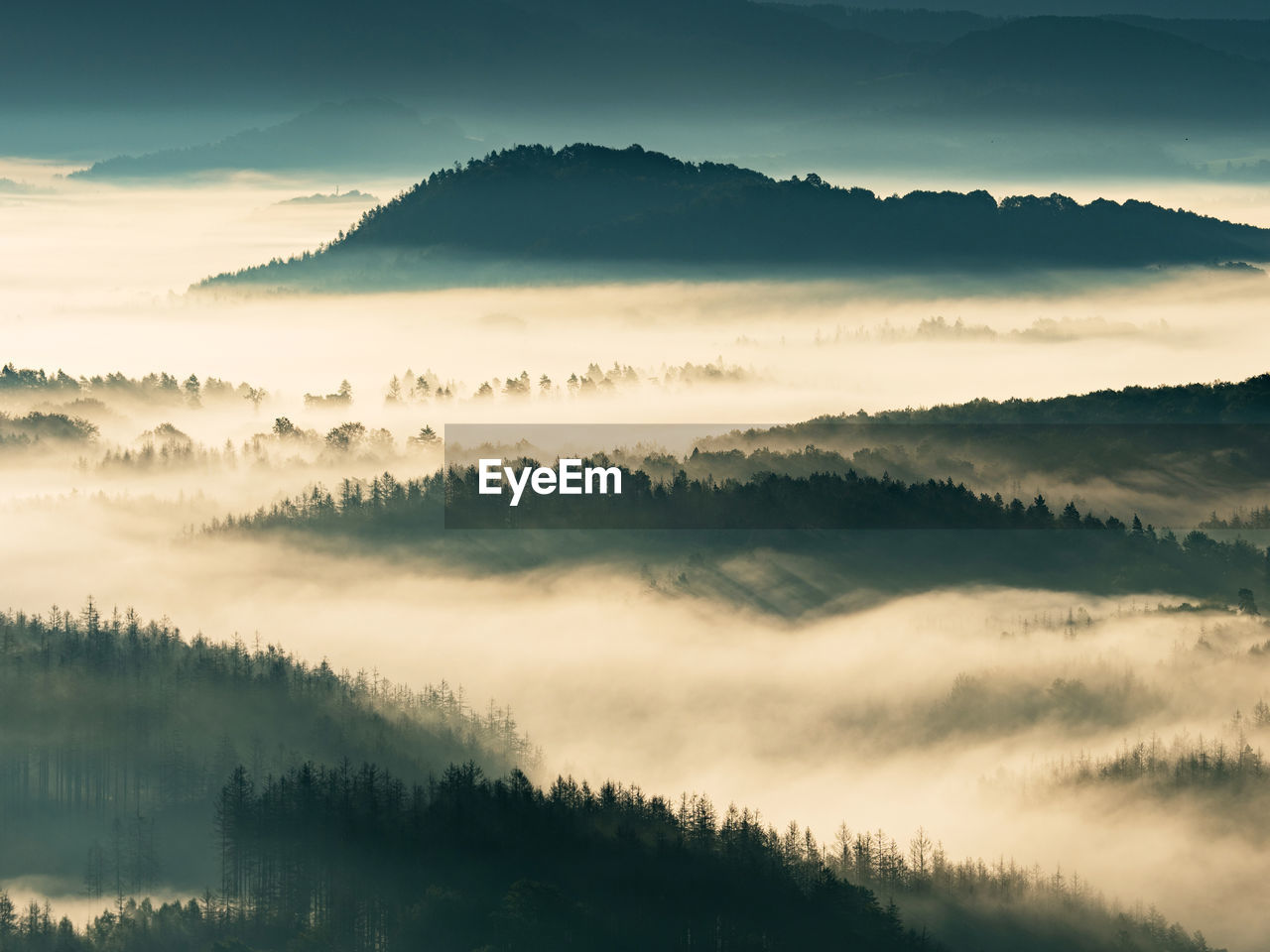 Fog flowing over forest mountains. misty mountain landscape hills after rainy night. idyllic valley
