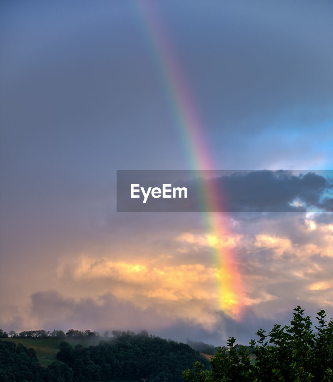 SCENIC VIEW OF RAINBOW OVER TREES AGAINST CLOUDY SKY