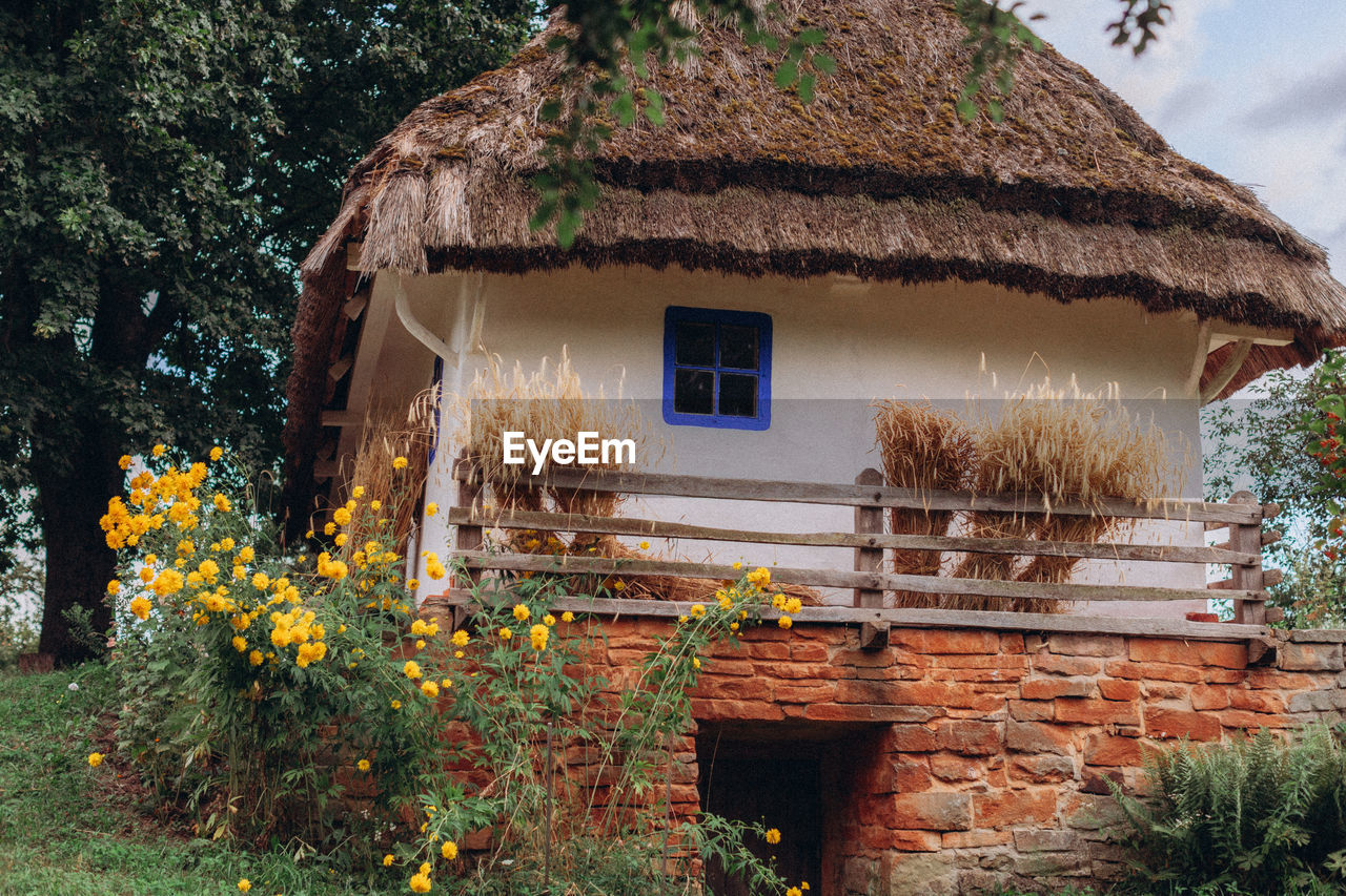 House and trees by building