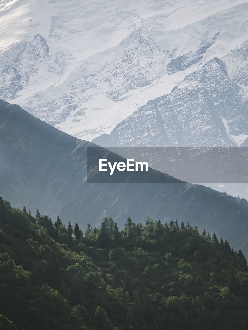 Layers of trees, mountains and snow in passy, france