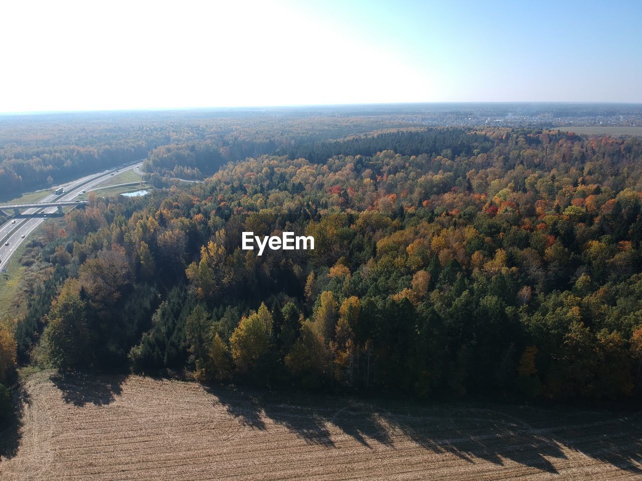 HIGH ANGLE VIEW OF TREES AGAINST SKY