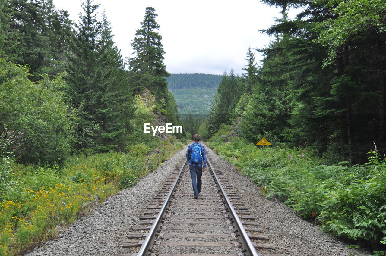 Rear view of person on railroad track amidst trees against sky