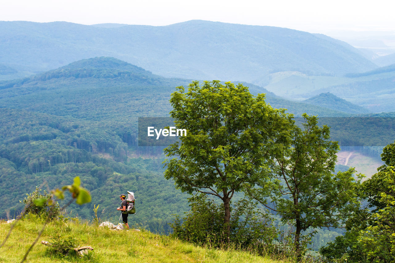 Rear view of man walking on mountain