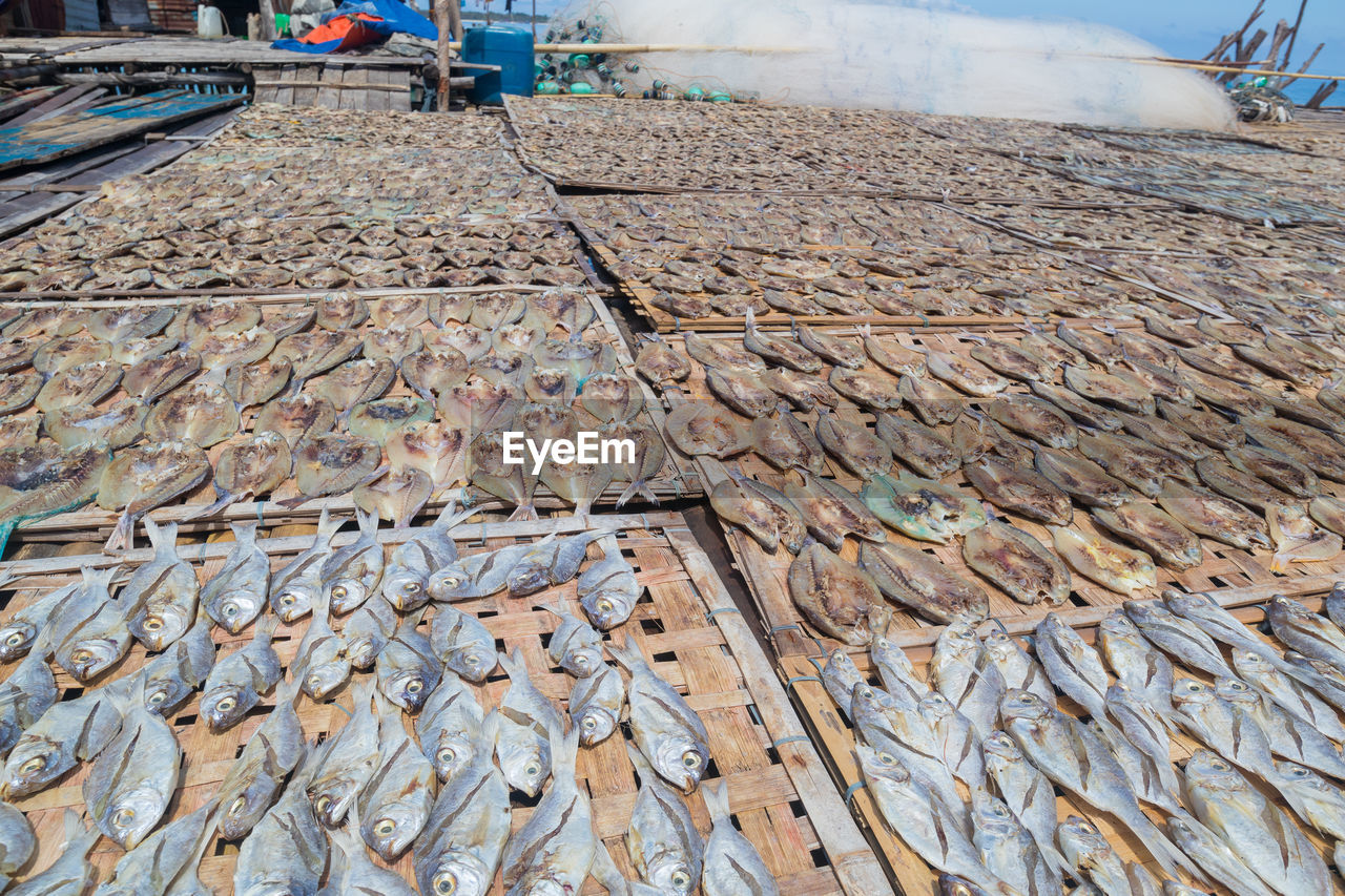 High angle view of fish for sale at market