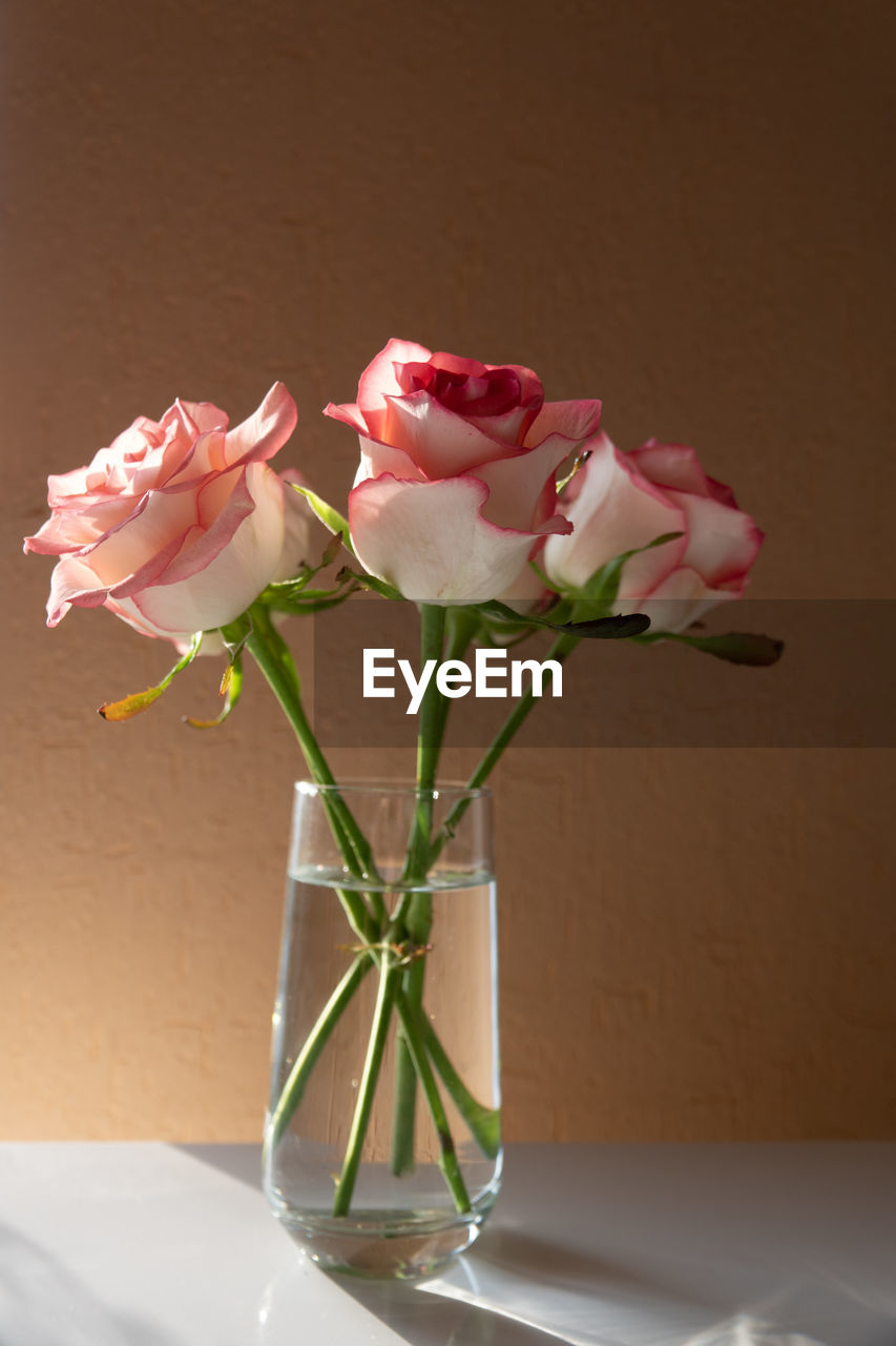 CLOSE-UP OF PINK ROSES IN VASE