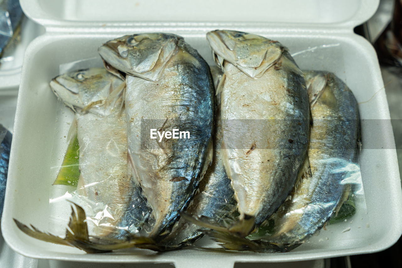 CLOSE-UP OF FISH IN PLATE