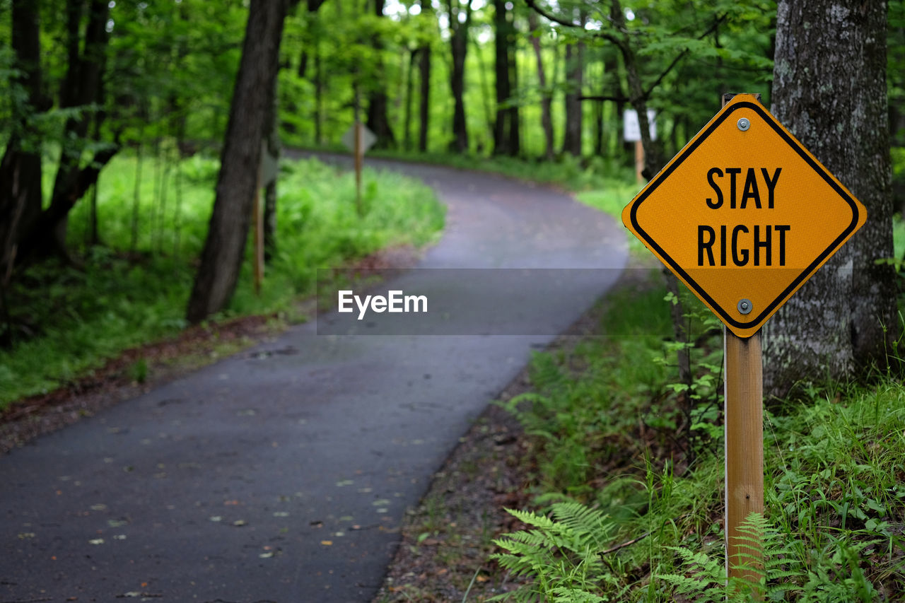 Road sign by footpath in forest