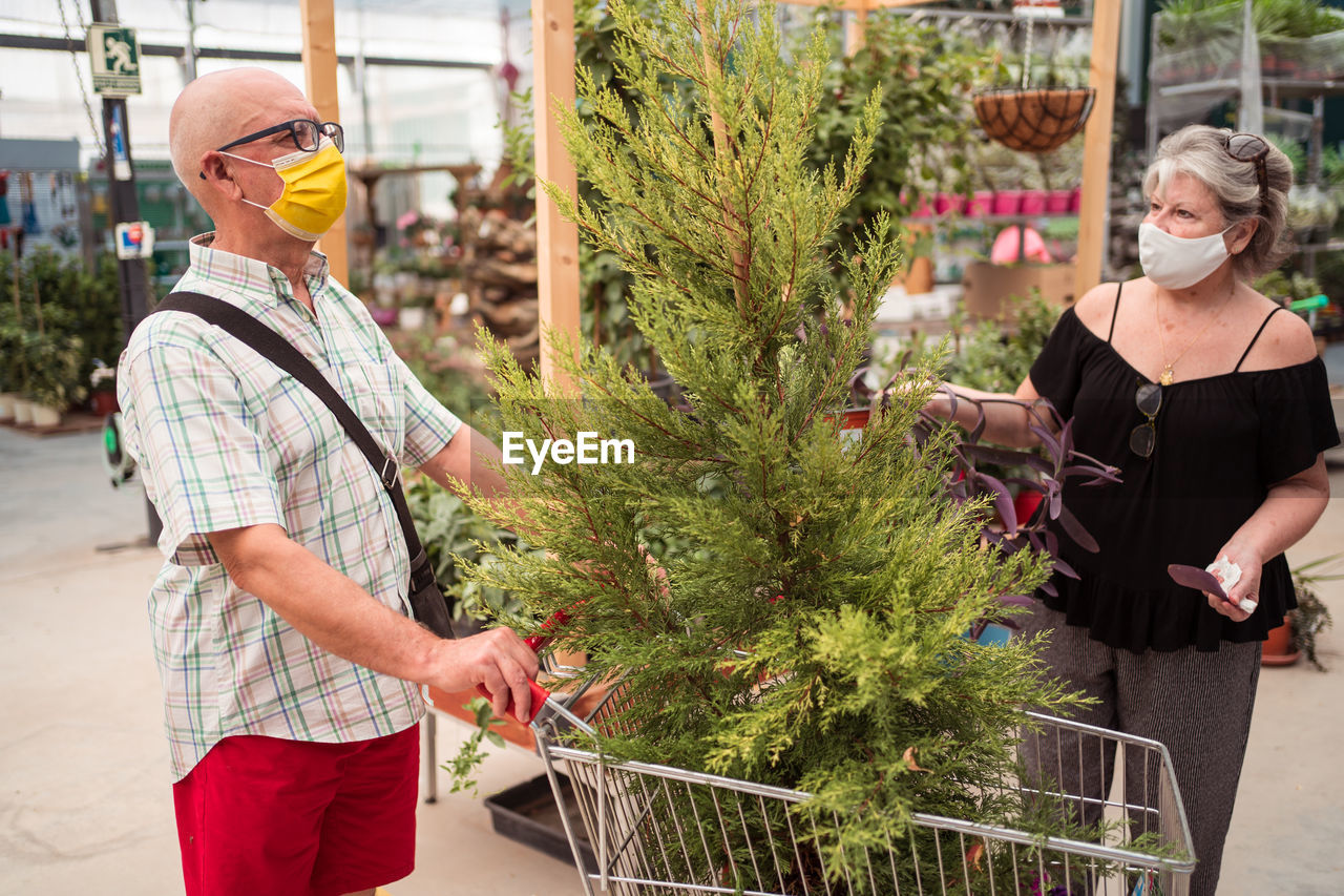 Mature buyers in face masks interacting while standing with coniferous tree in trolley and picking plants in garden store