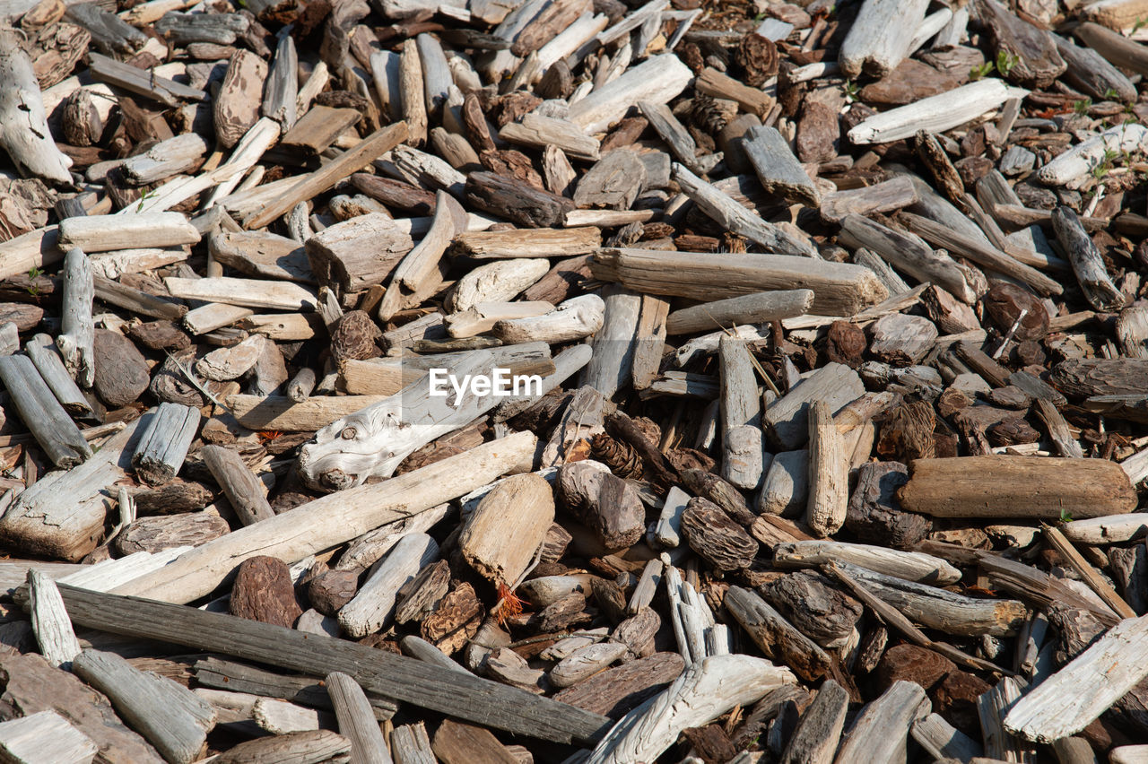 HIGH ANGLE VIEW OF LOGS ON WOOD