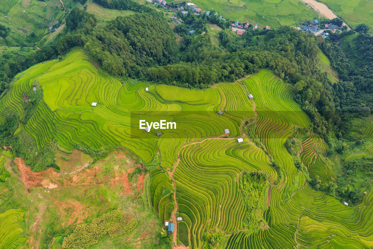 SCENIC VIEW OF AGRICULTURAL FIELD