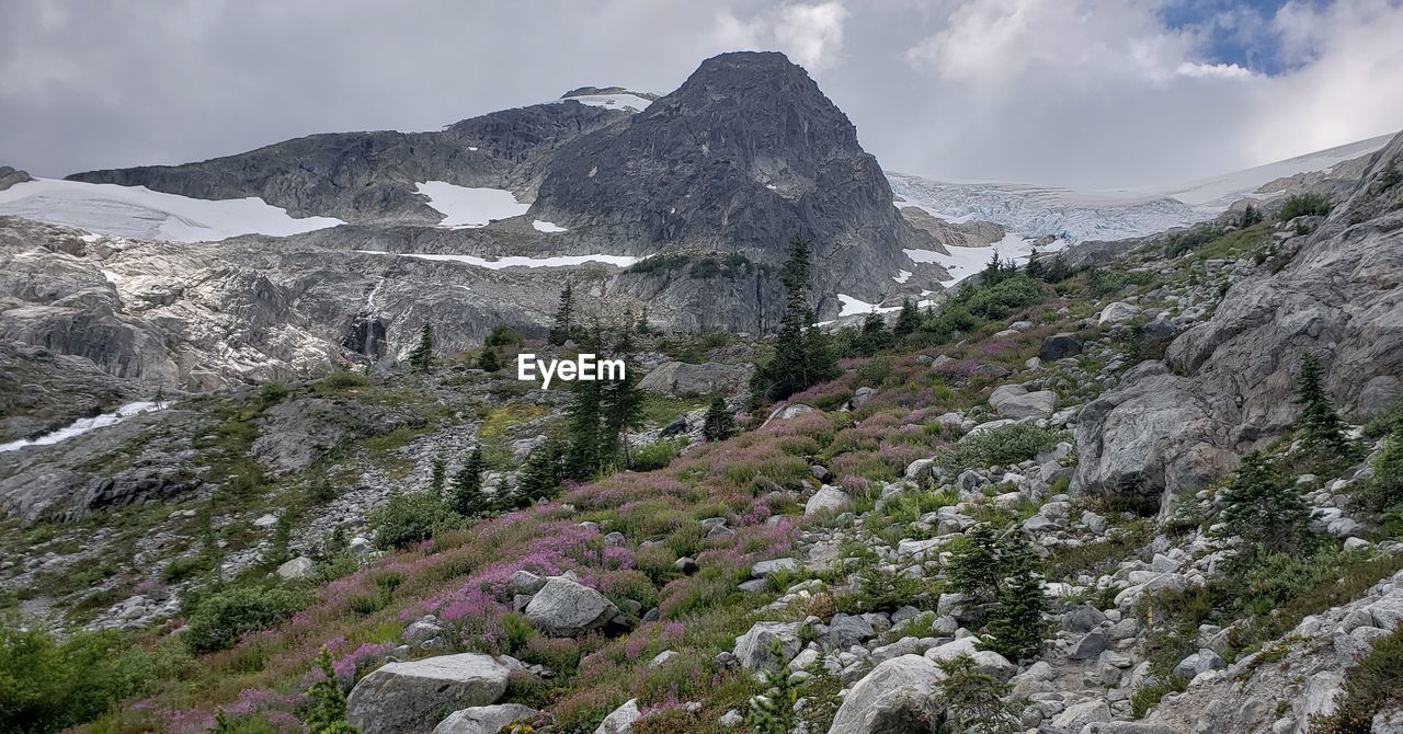 Scenic view of snow covered land against sky