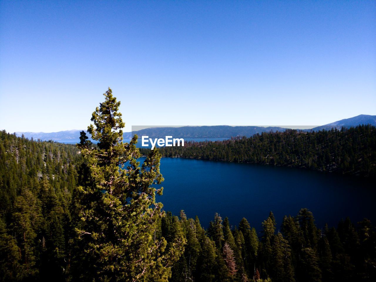 SCENIC VIEW OF LAKE AND TREES AGAINST CLEAR BLUE SKY