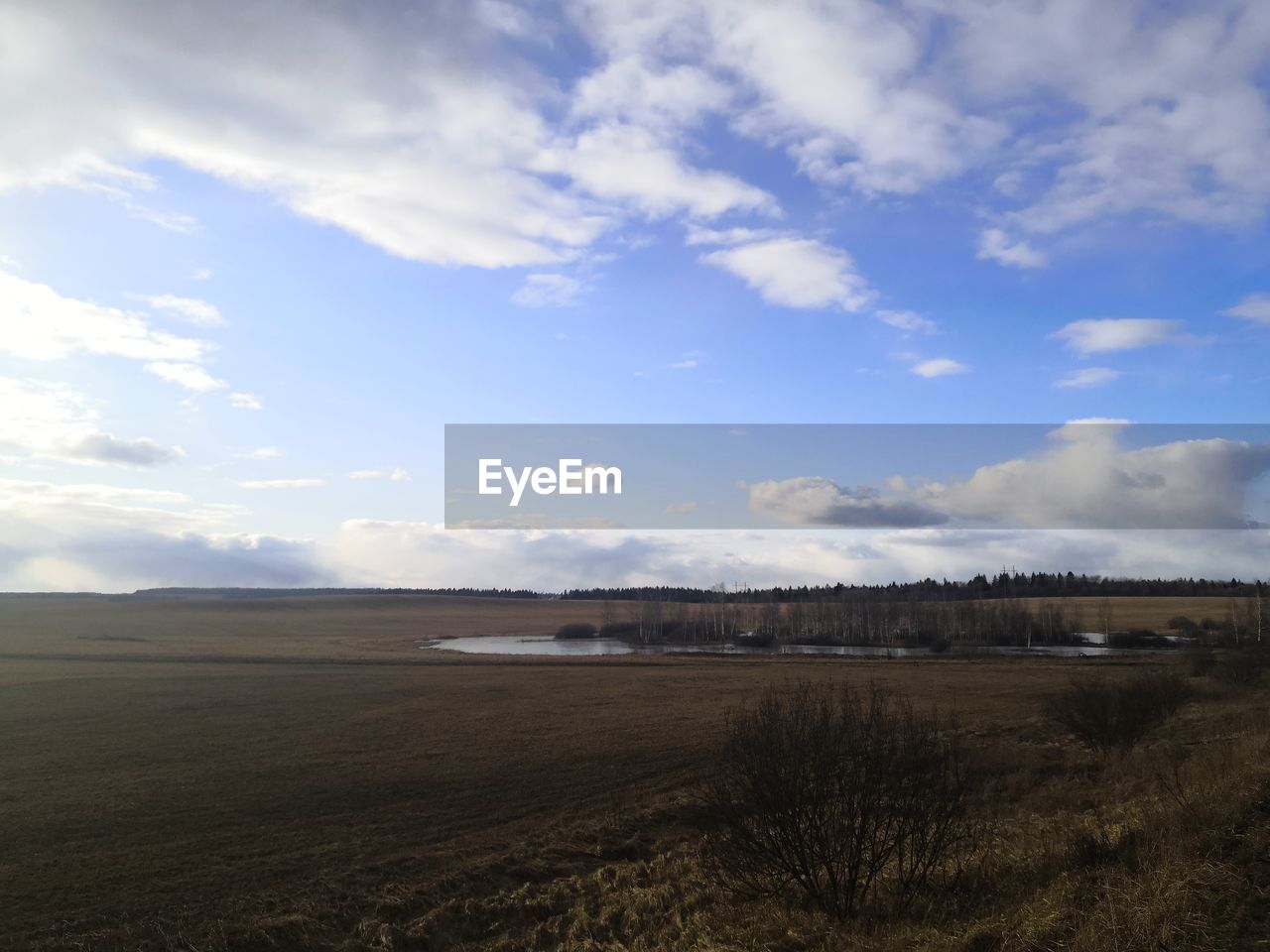 FIELD AGAINST SKY