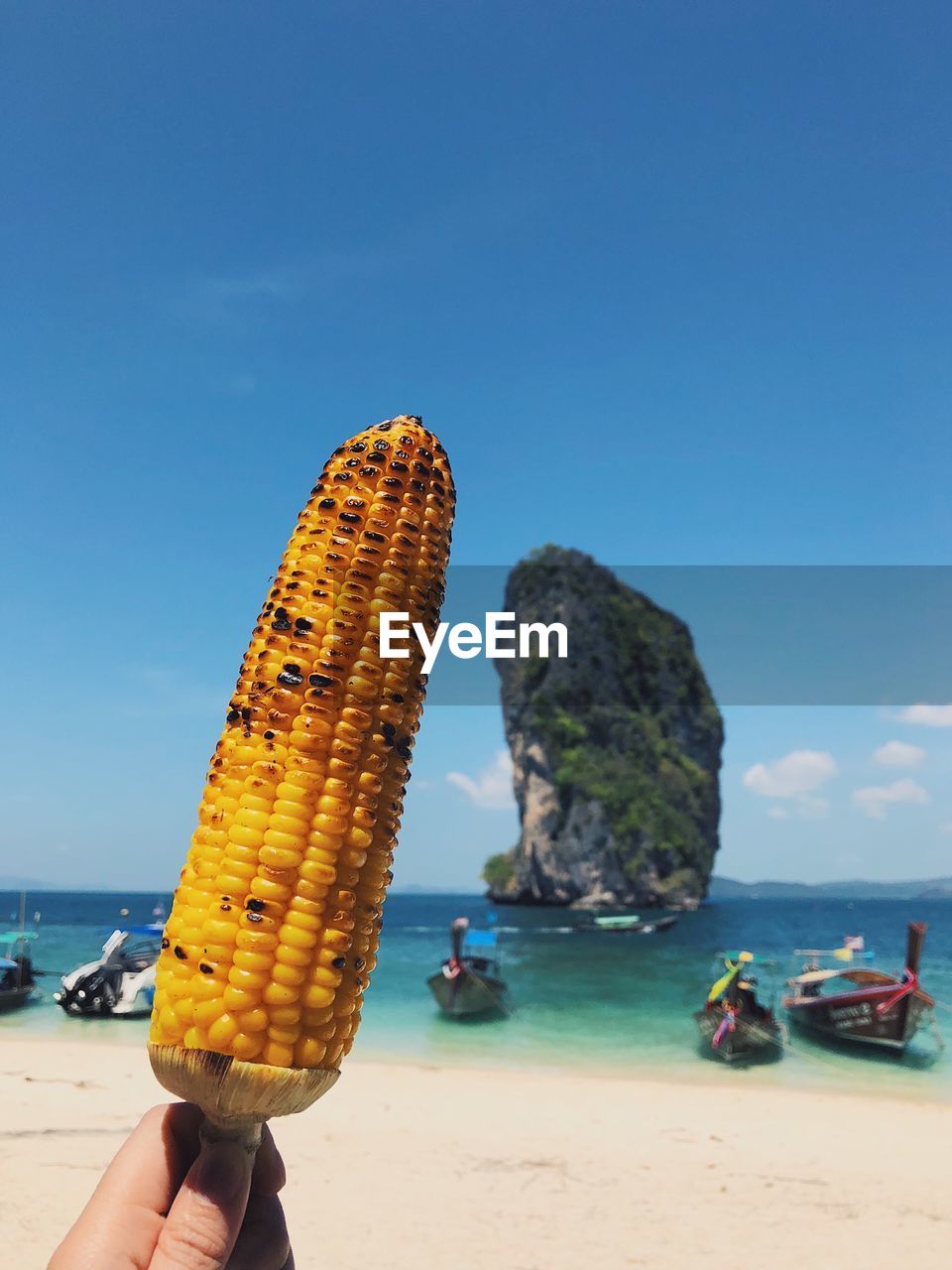 Cropped hand holding corn at beach against blue sky during sunny day