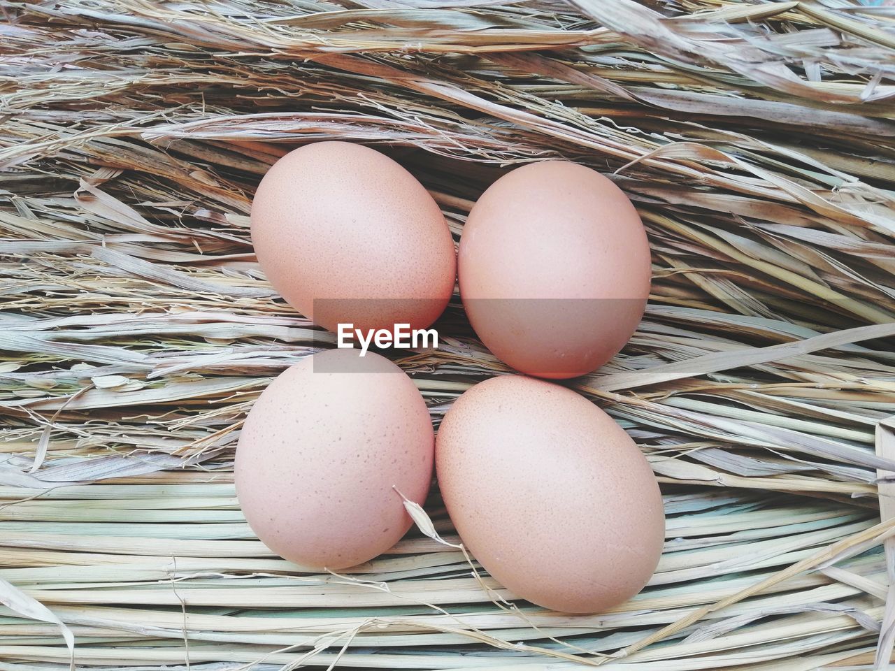 CLOSE-UP OF EGGS IN BASKET