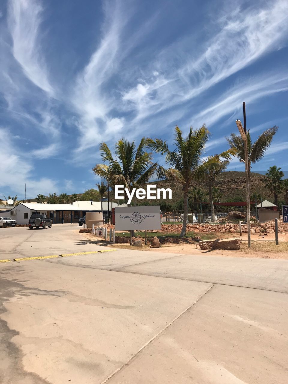 VIEW OF PALM TREES BY PLANTS AGAINST SKY