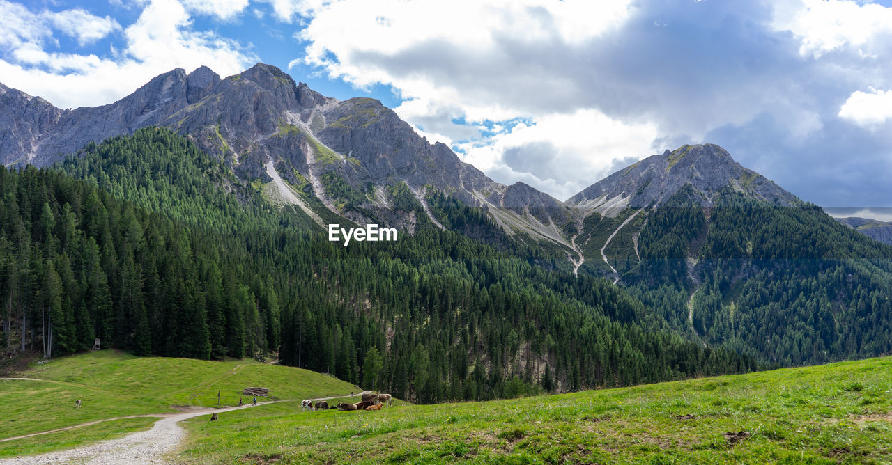 Scenic view of mountains against sky - lanzwiese alm - mitterolang - south tyrol südtirol - italy