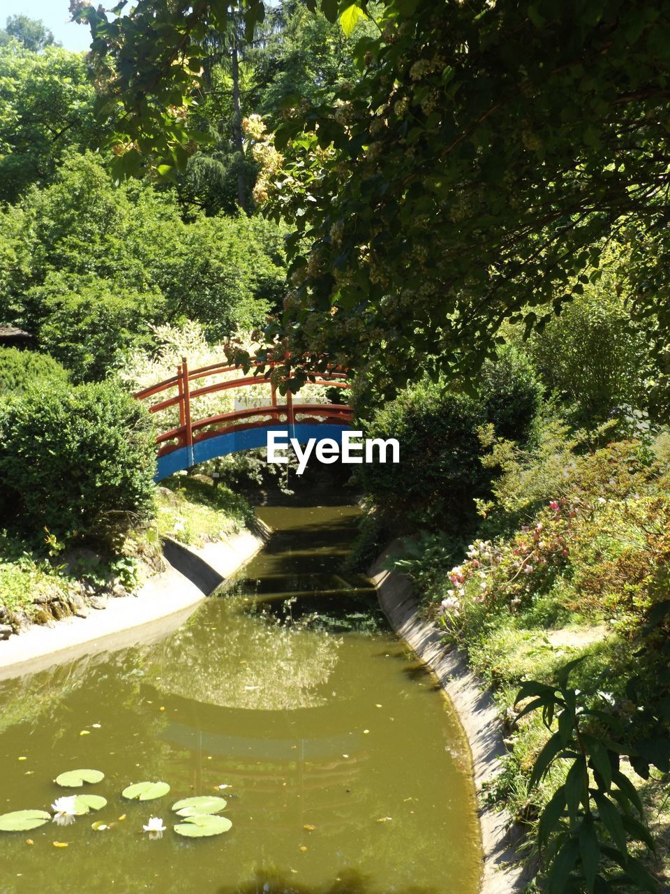 VIEW OF RIVER WITH TREES IN FOREGROUND