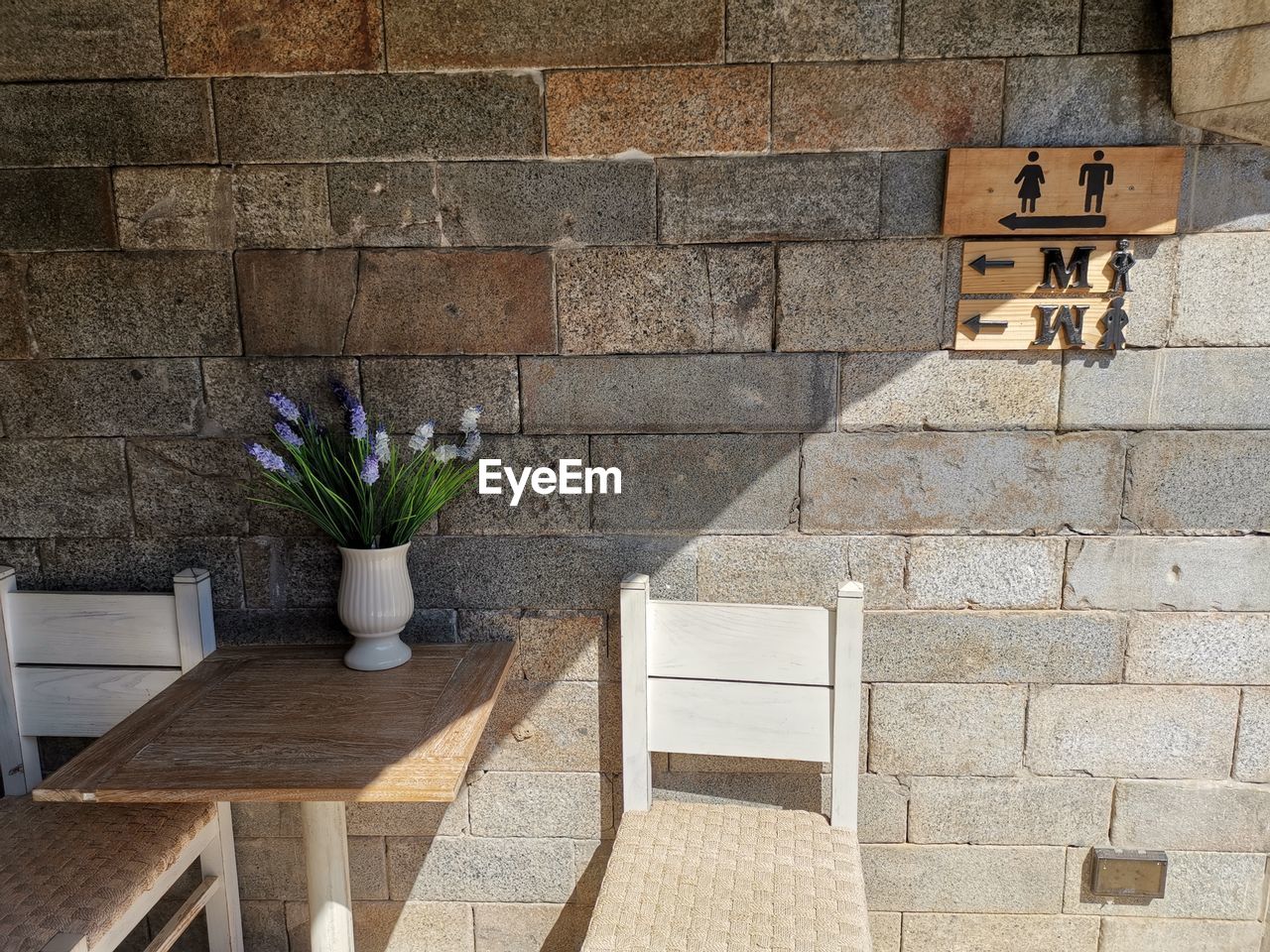 Potted plant on table against wall at home