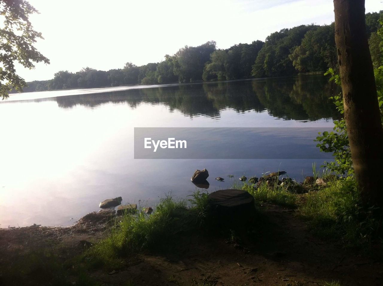 SCENIC VIEW OF LAKE IN FOREST AGAINST SKY