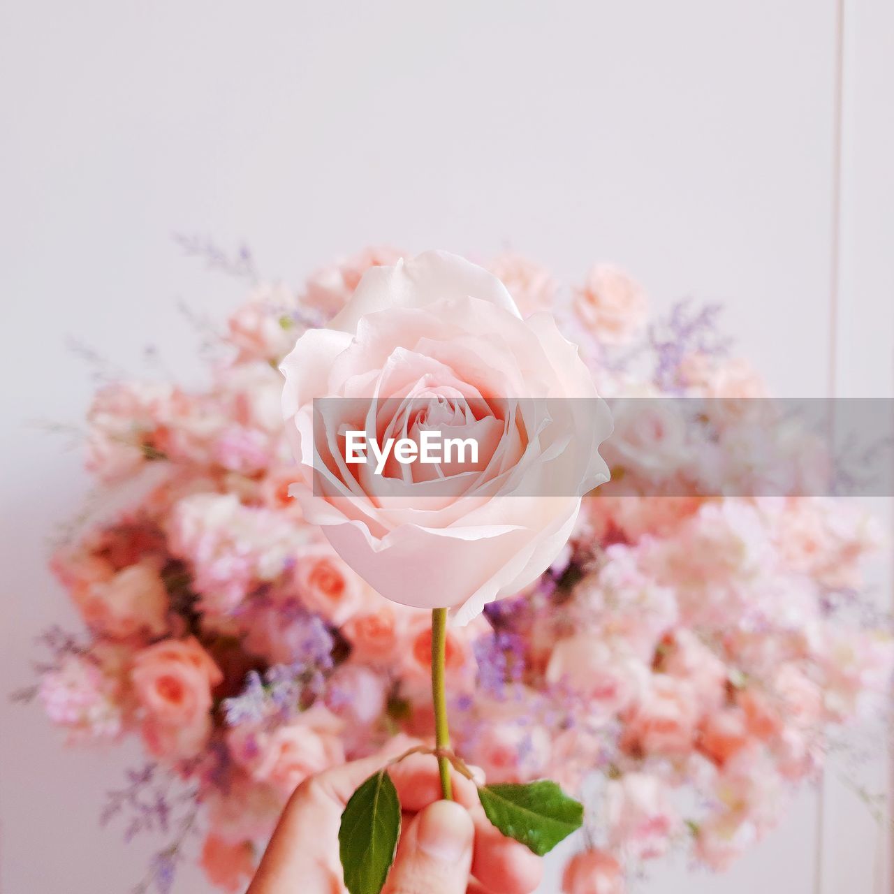 CLOSE-UP OF HAND HOLDING BOUQUET OF ROSE