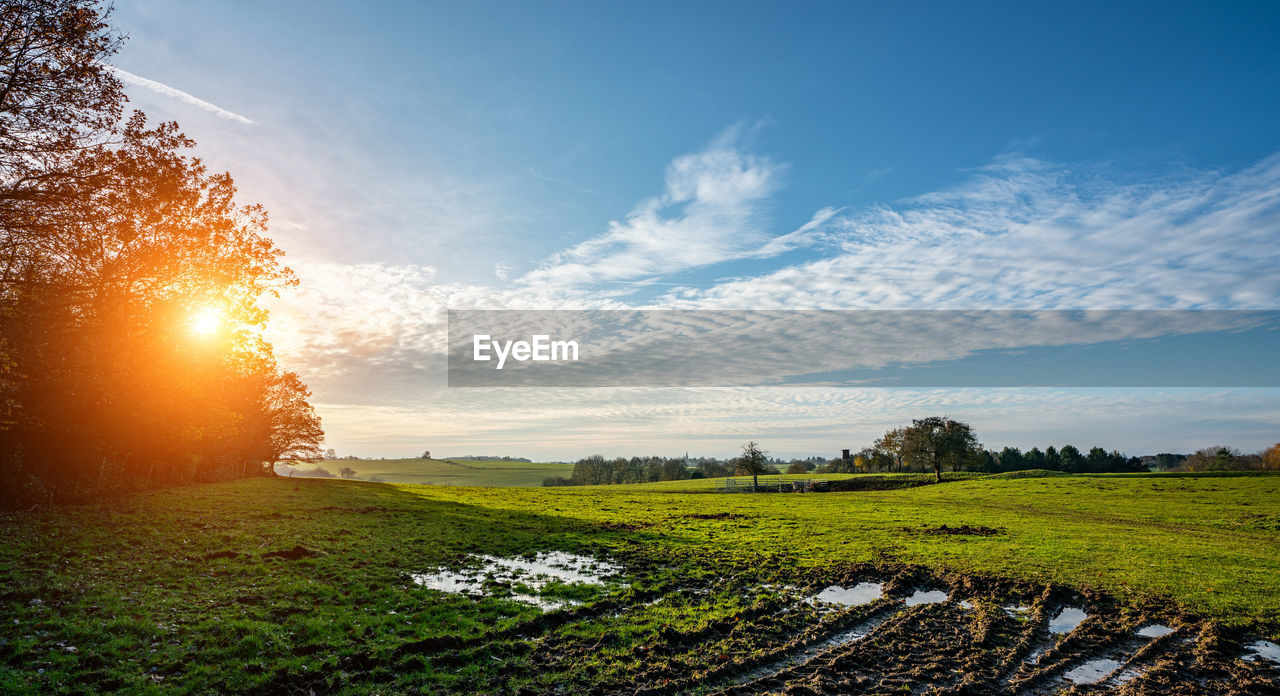 SCENIC VIEW OF FIELD AGAINST SKY DURING SUNRISE