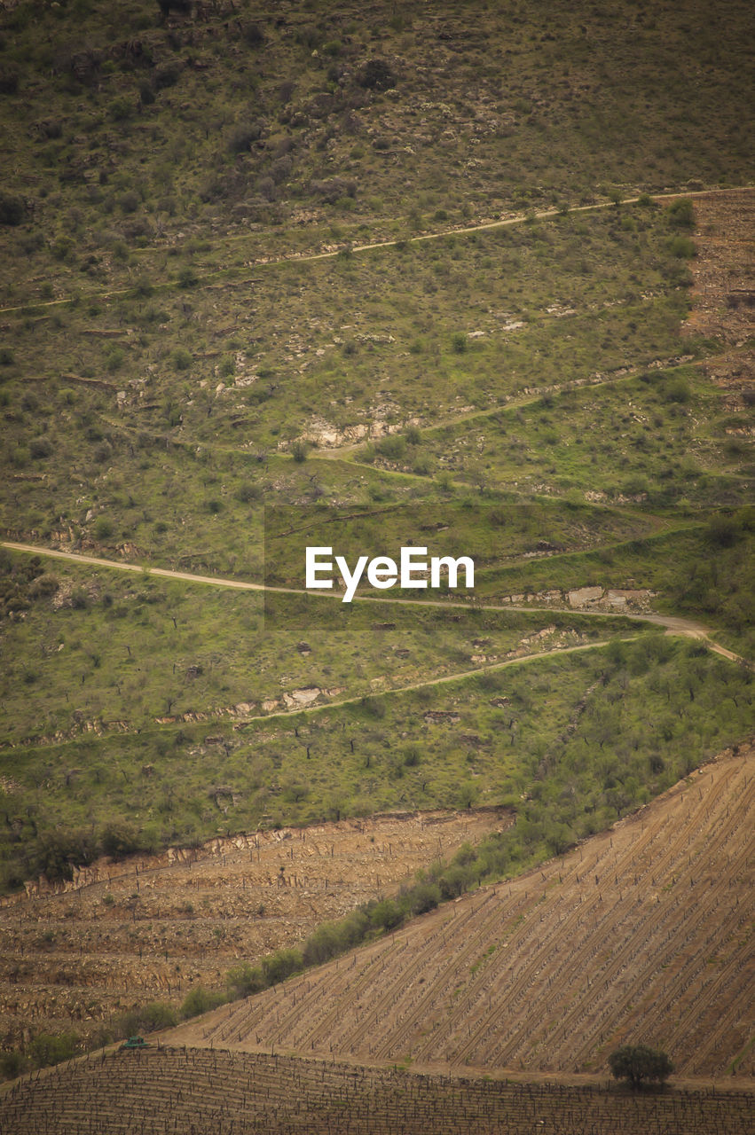 HIGH ANGLE VIEW OF AGRICULTURAL LANDSCAPE