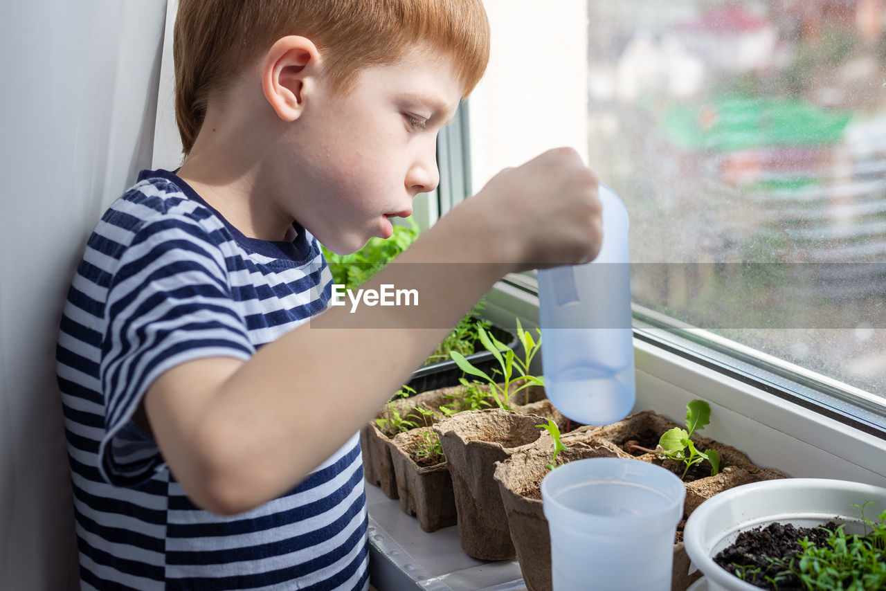  child red-haired boy watering plants in eco-peat pots on the windowsill, side view