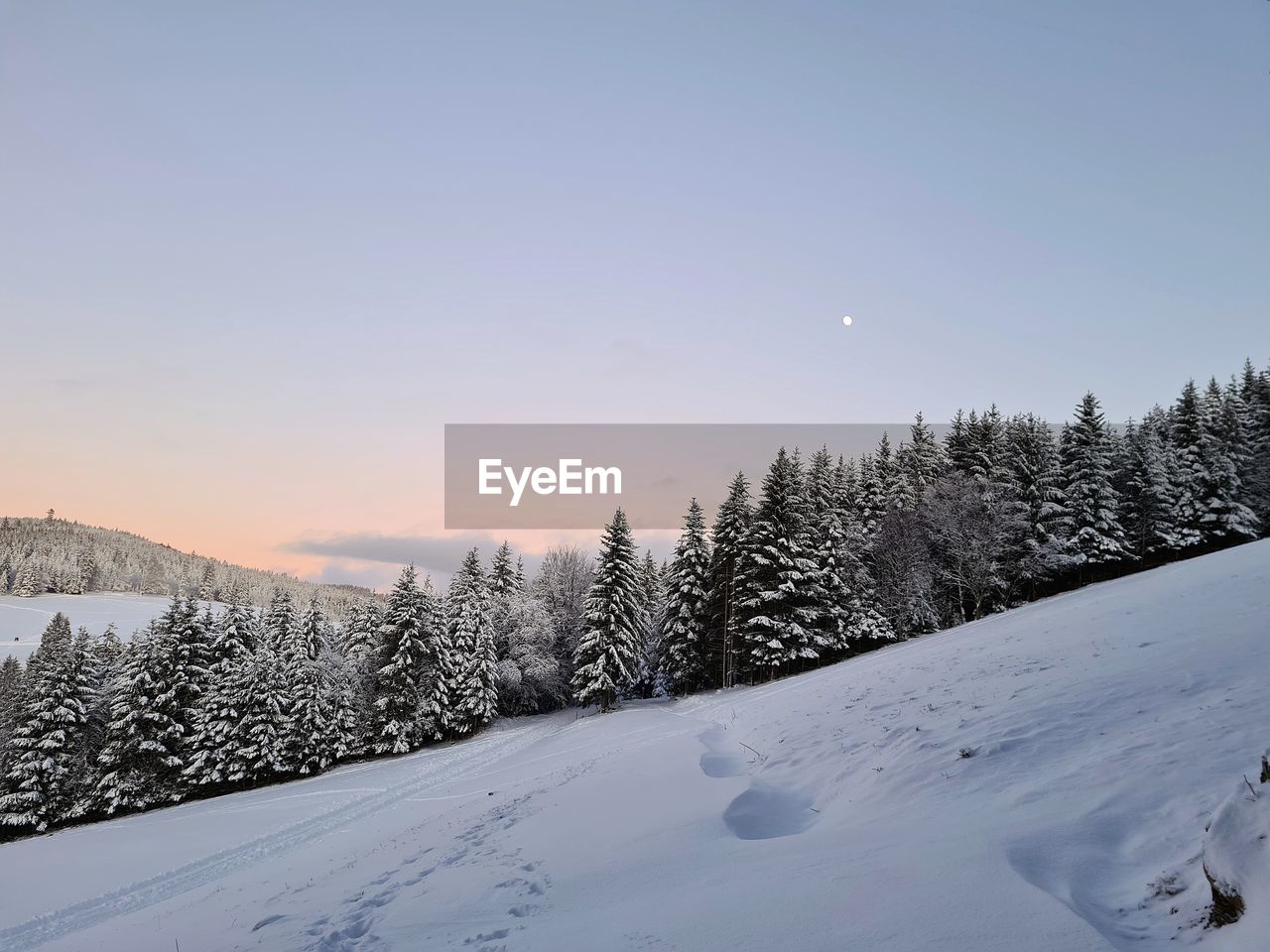 Snow covered land and trees against clear sky