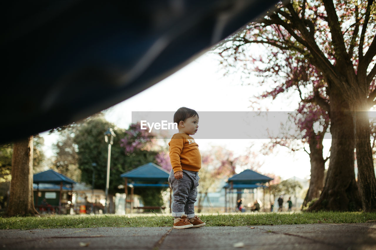 Full length of boy standing against trees