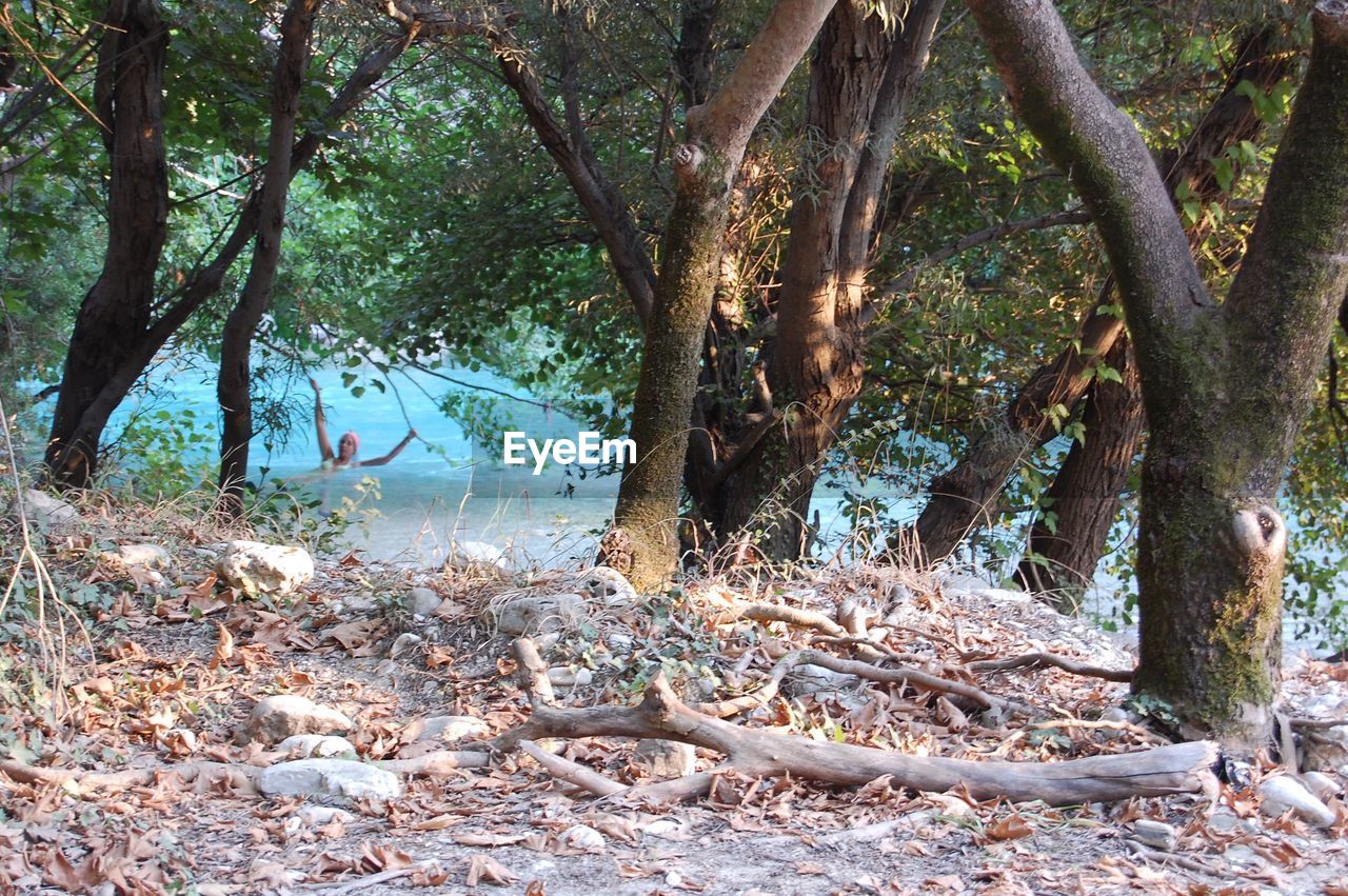 VIEW OF TREES WITH LAKE