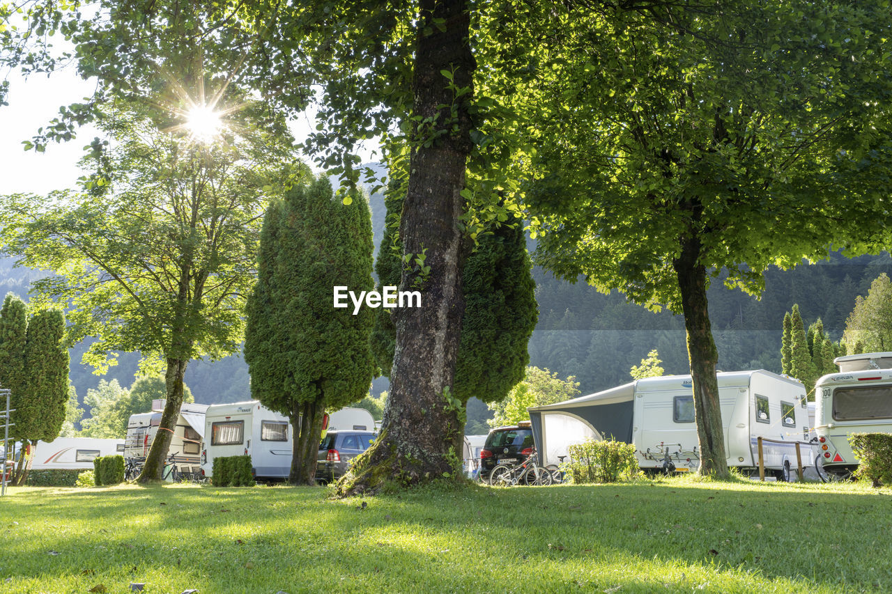 Camp site with trees and caravans at millstaetter lake, döbriach