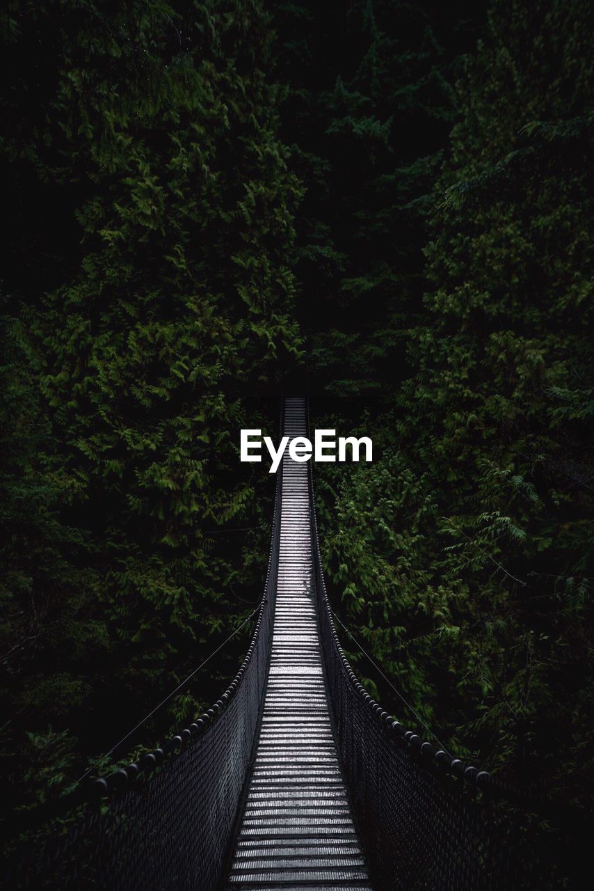 High angle view of footbridge amidst trees in forest