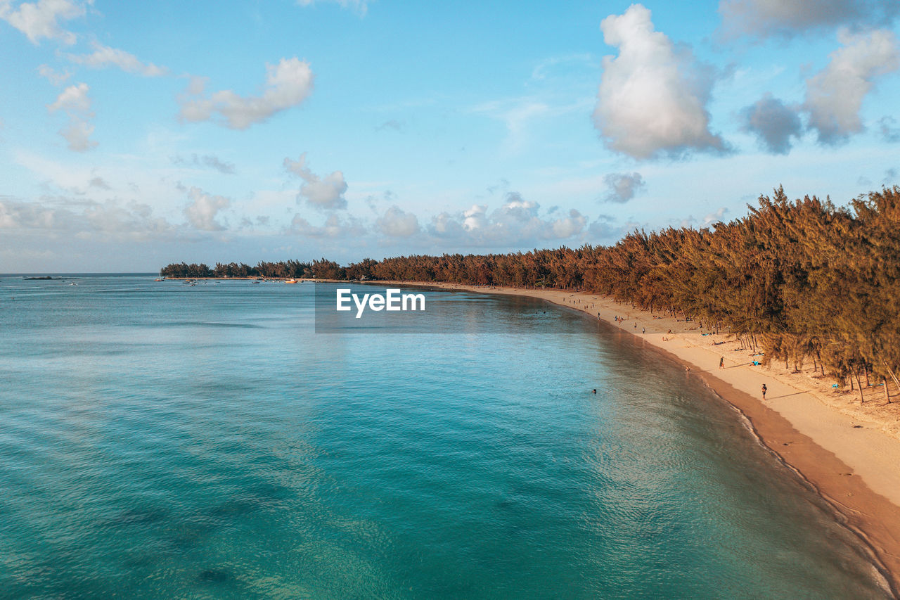 Aerial view of beach