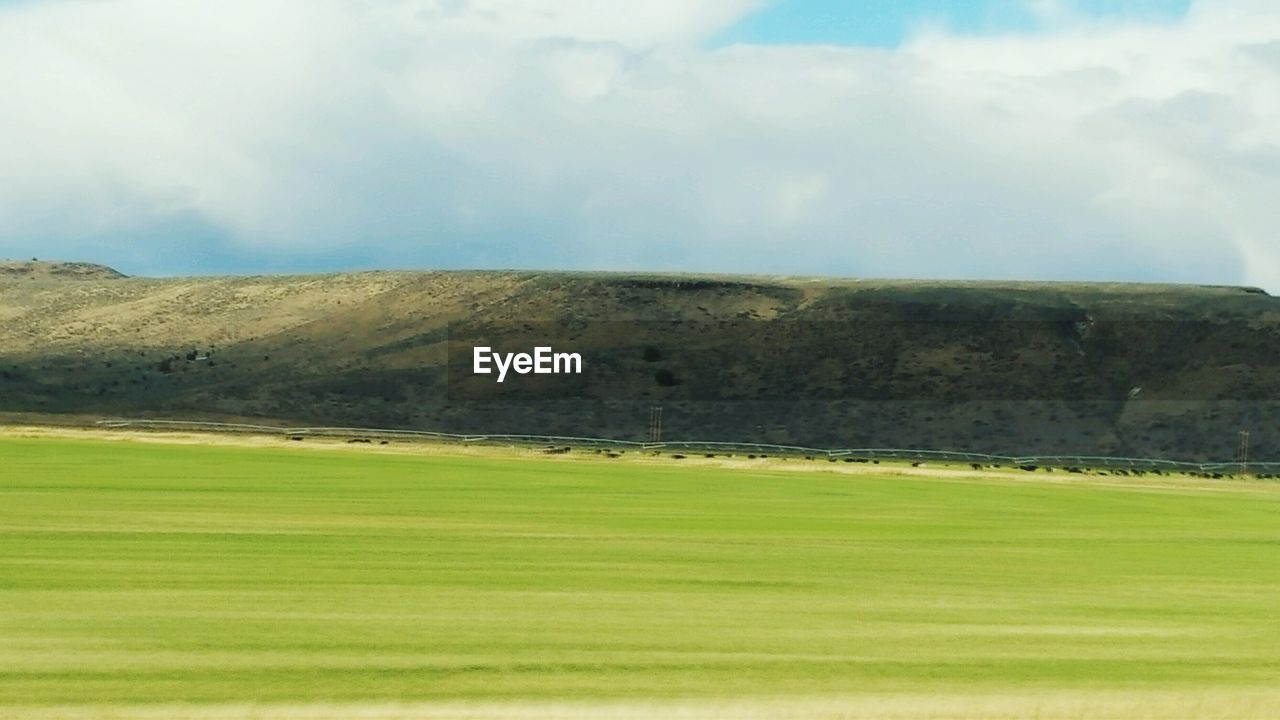 SCENIC VIEW OF GRASSY FIELD AGAINST SKY