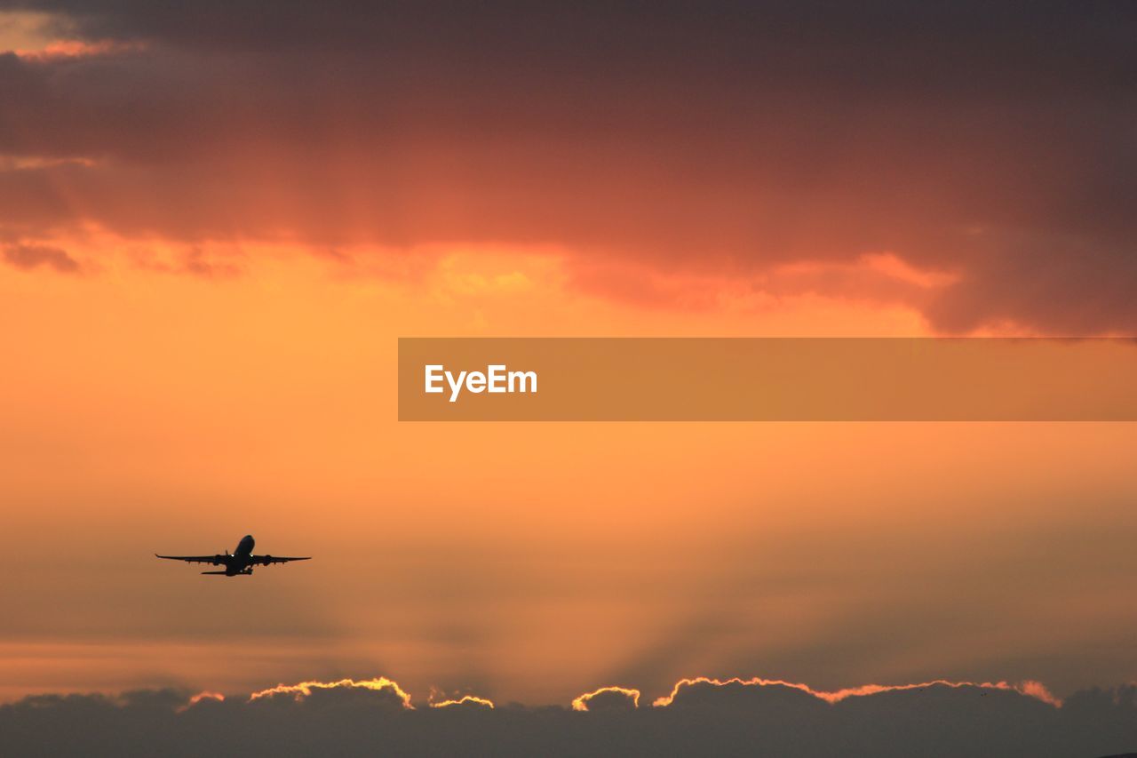 Low angle view of silhouette airplane flying during sunset