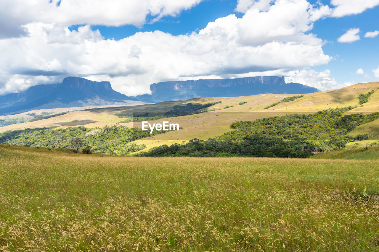 SCENIC VIEW OF FARM AGAINST SKY