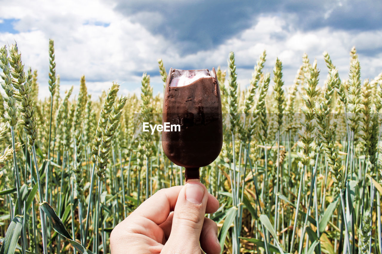 Cropped hand holding ice cream against cereal plants on field