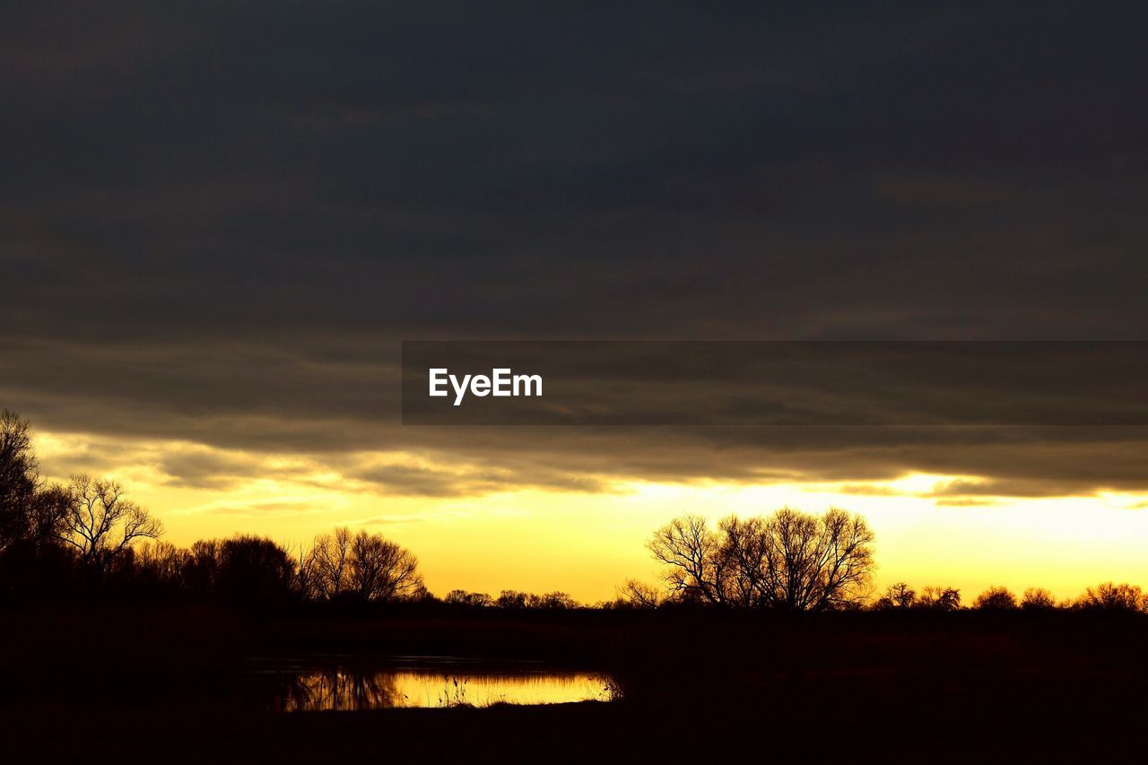 SILHOUETTE OF TREES AGAINST SKY AT SUNSET