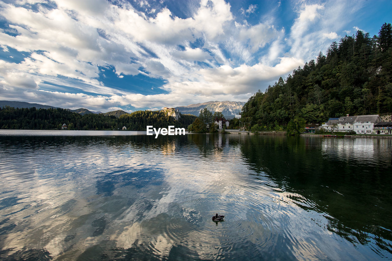 Scenic view of lake bled