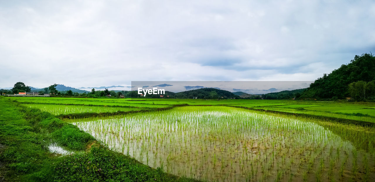 SCENIC VIEW OF AGRICULTURAL LANDSCAPE AGAINST SKY