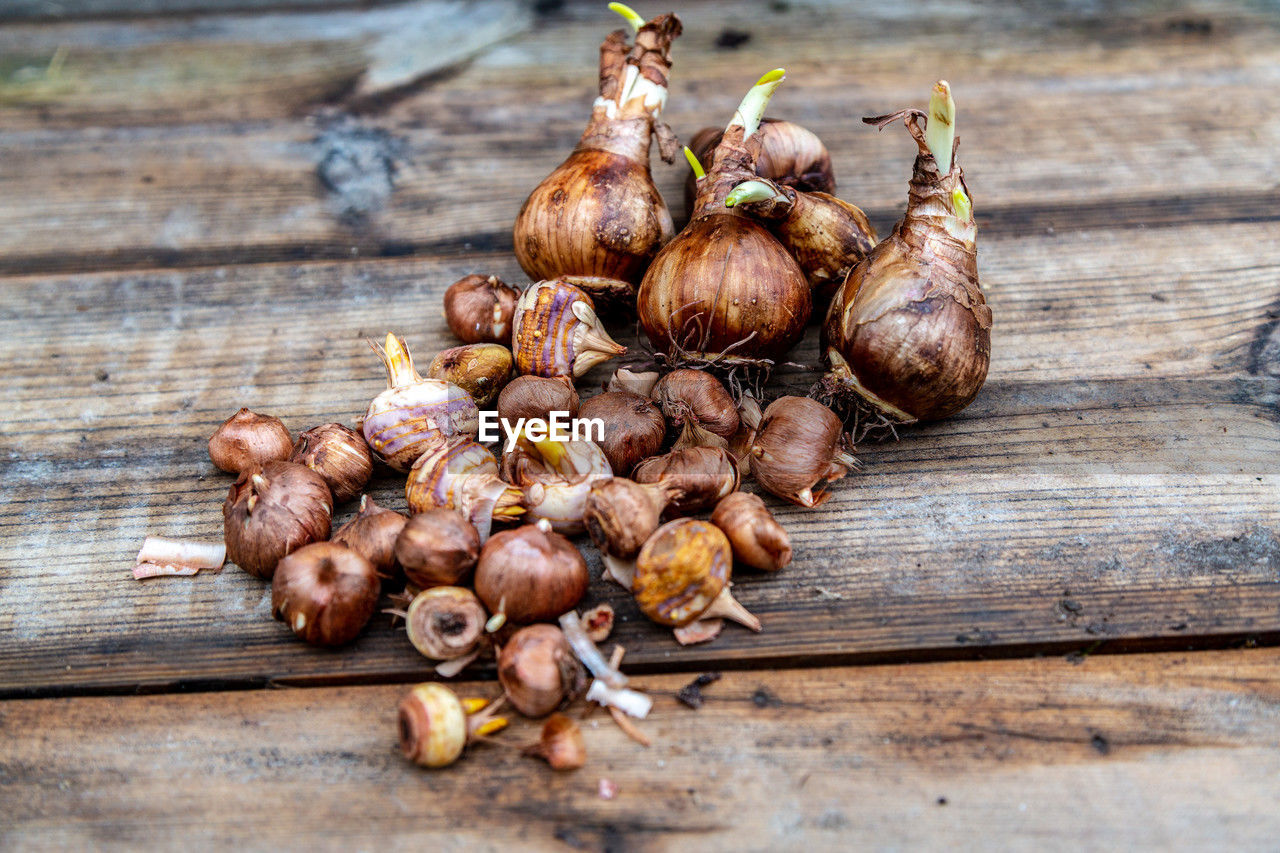 food and drink, food, produce, freshness, wood, wellbeing, healthy eating, plant, shallot, spice, still life, no people, vegetable, ingredient, table, close-up, garlic, onion, high angle view, day, large group of objects, indoors, garlic bulb, brown, organic, abundance