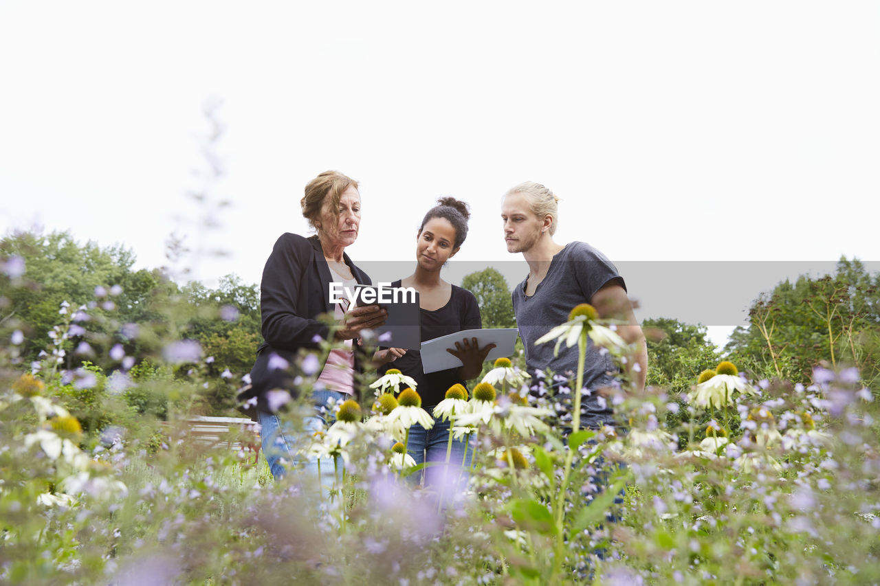 Garden architects using digital tablet while standing in yard