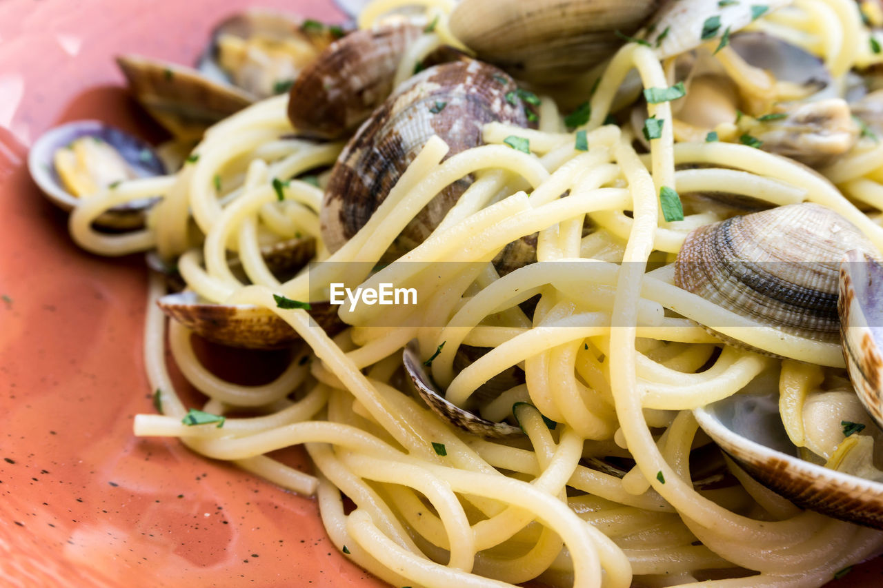 Close-up of pasta and clam in plate