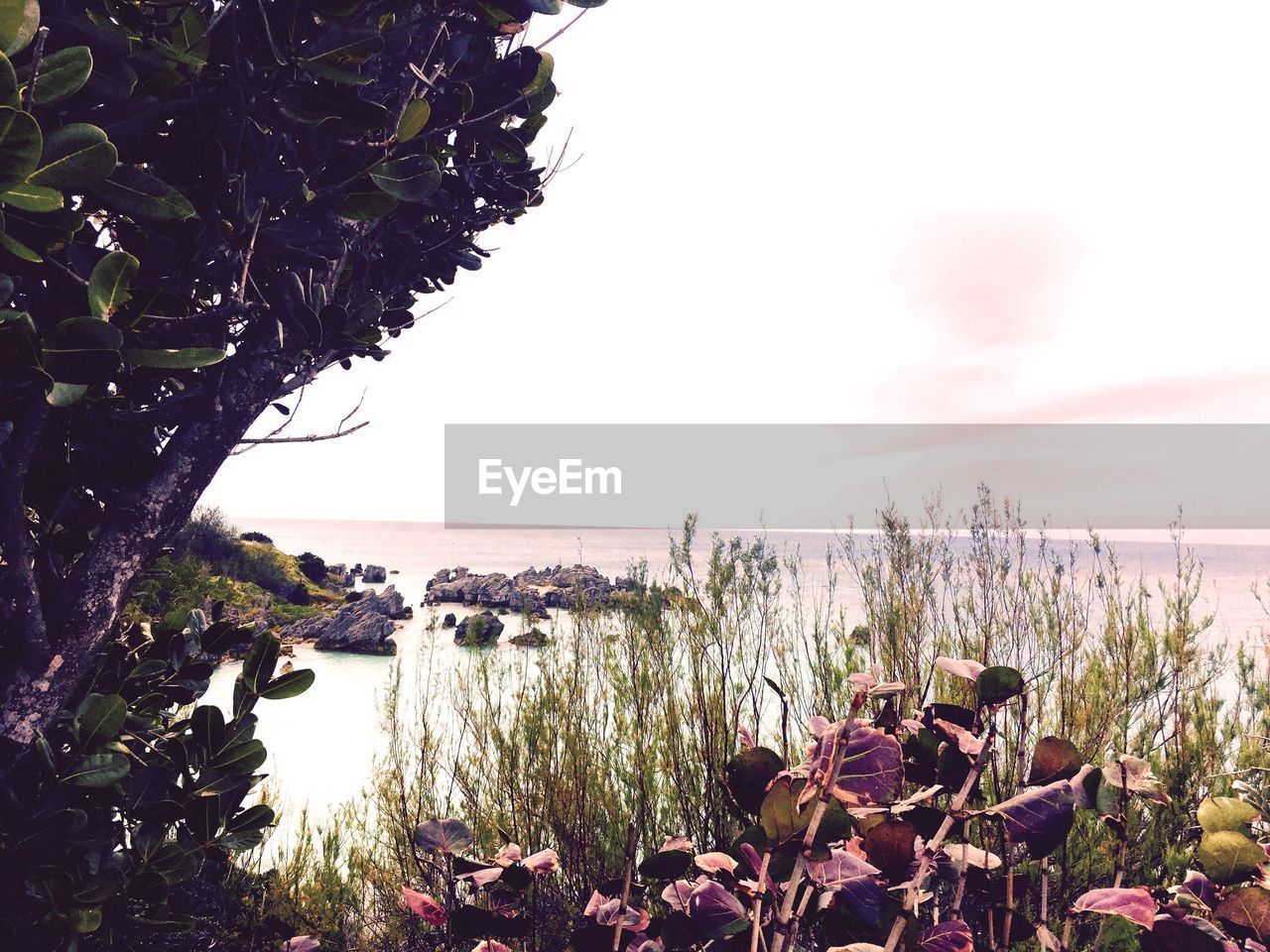 SCENIC VIEW OF SEA AND MOUNTAIN AGAINST SKY