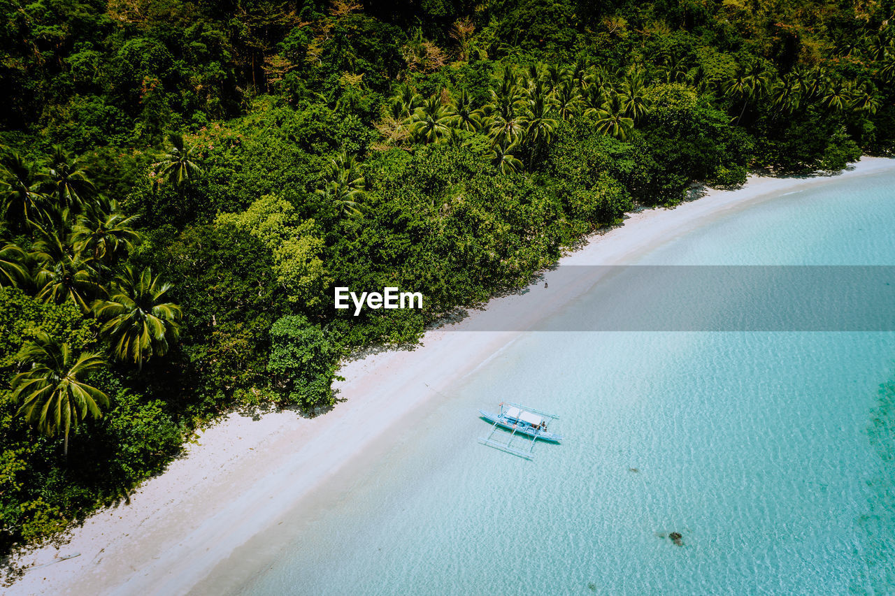 Aerial view of boat at beach and trees